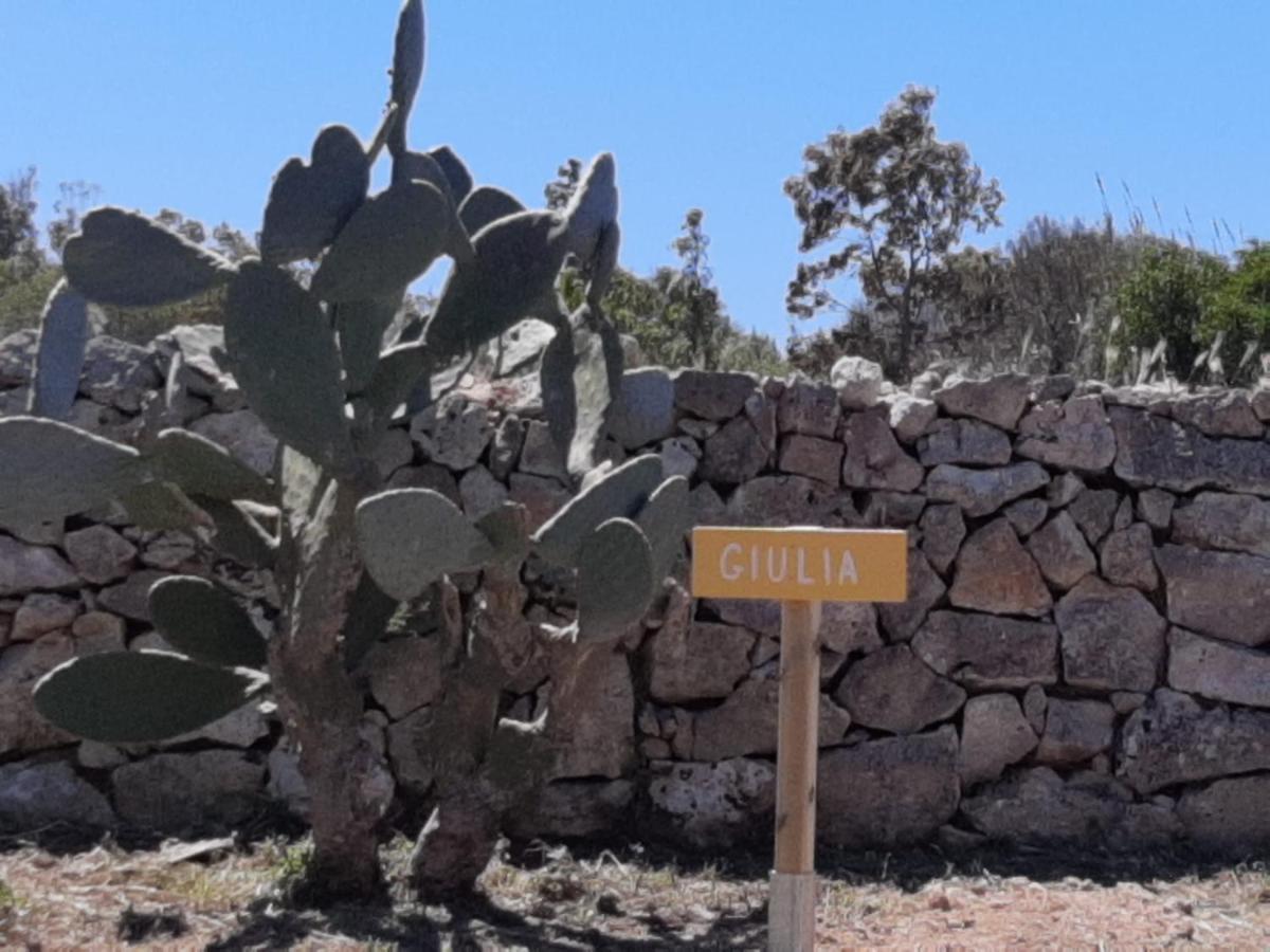 Tenuta L'Alba Di Monte Matino Otranto Bagian luar foto